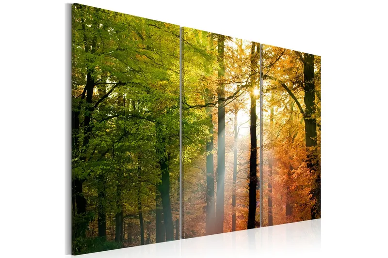 Tavla A Calm Autumn Forest 60x40 - Artgeist sp. z o. o. — Artgeist sp. z o. o.