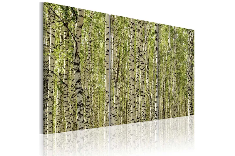 Tavla A forest of birch trees 60x40 - Artgeist sp. z o. o. — Artgeist sp. z o. o.