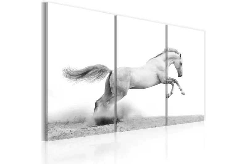Tavla A Galloping Horse 60x40 - Artgeist sp. z o. o. — Artgeist sp. z o. o.