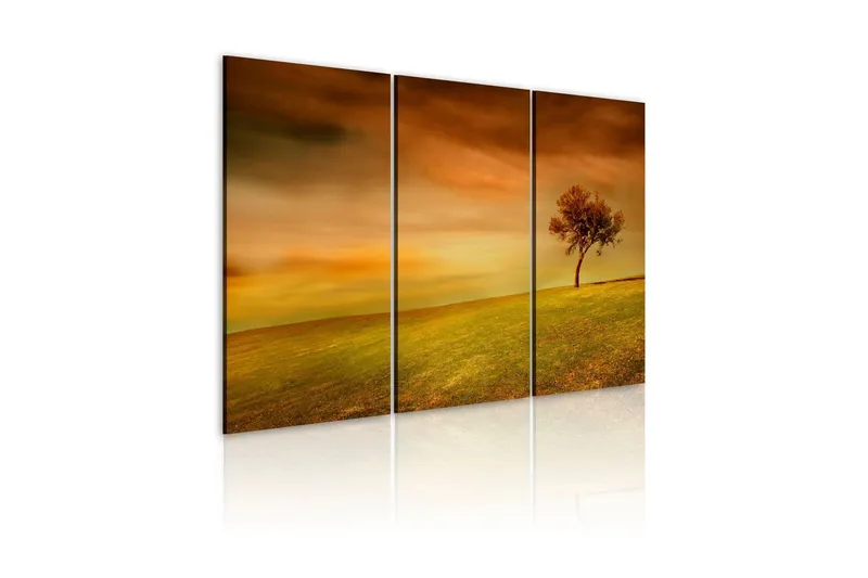 Tavla A Lonely Tree On A Meadow 60x40 - Artgeist sp. z o. o. — Artgeist sp. z o. o.