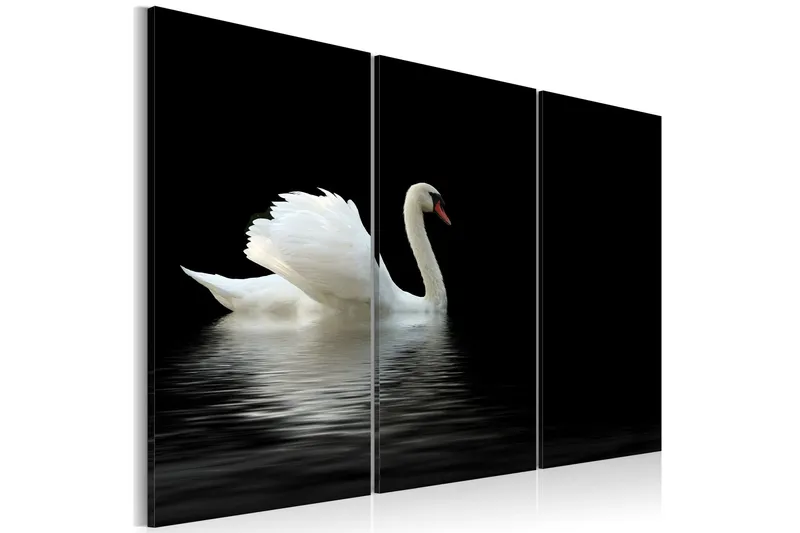 Tavla A Lonely White Swan 60x40 - Artgeist sp. z o. o. — Artgeist sp. z o. o.