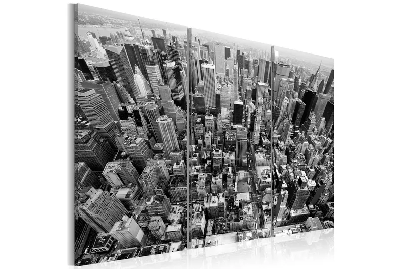 Tavla A marvellous view on New York roofs 60x40 - Artgeist sp. z o. o. — Artgeist sp. z o. o.