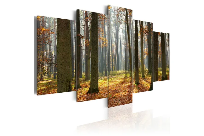 Tavla A Nice Forest Landscape 100x50 - Artgeist sp. z o. o. — Artgeist sp. z o. o.