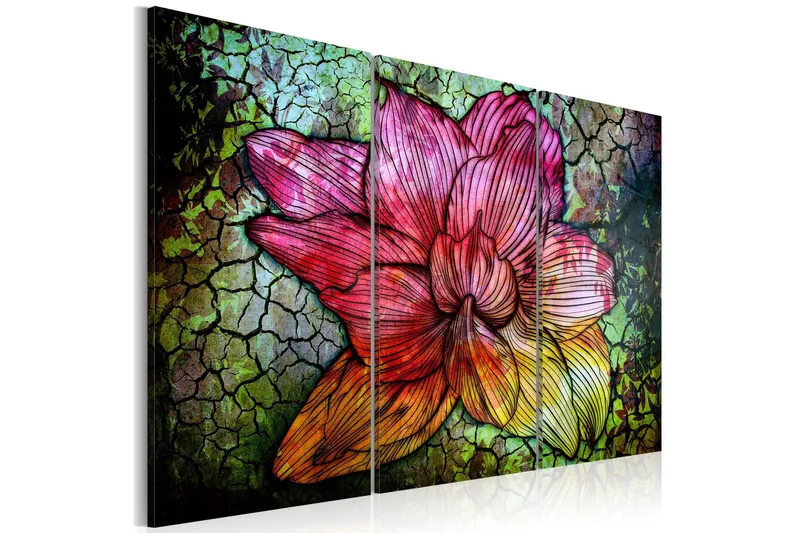 Tavla A Rainbow-Hued Abstract Flower 60x40 - Artgeist sp. z o. o. — Artgeist sp. z o. o.