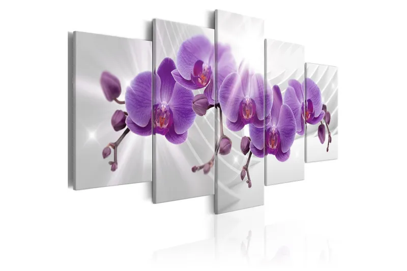 Tavla Abstract Garden Purple Orchis 100x50 - Artgeist sp. z o. o. — Artgeist sp. z o. o.