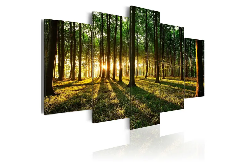 Tavla Adventure In The Woods 200x100 - Artgeist sp. z o. o. — Artgeist sp. z o. o.
