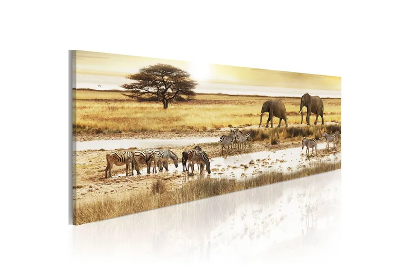 Tavla Africa At The Waterhole 120x40 - Artgeist sp. z o. o. — Artgeist sp. z o. o.