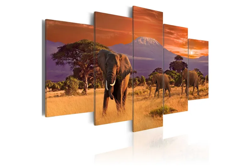 Tavla Africa Elephants 200x100 - Artgeist sp. z o. o. — Artgeist sp. z o. o.