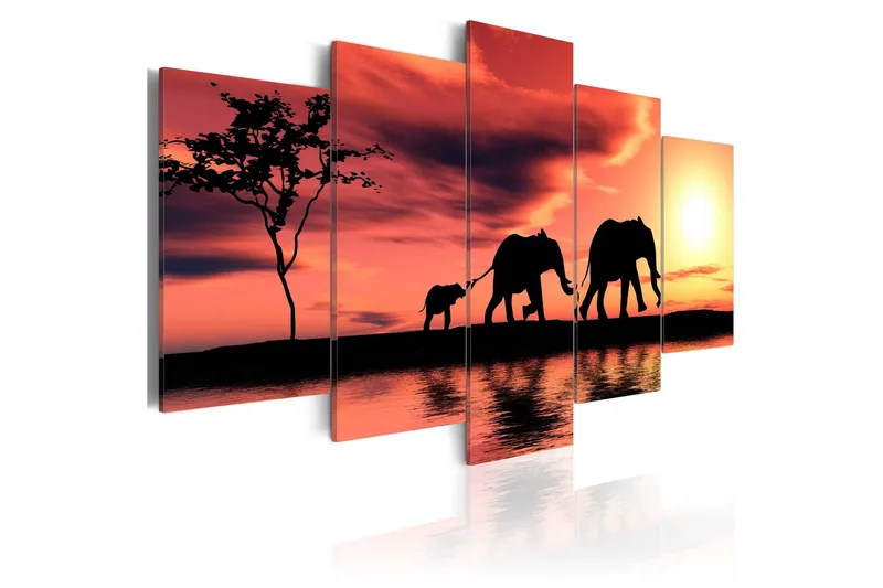 Tavla African Elephants Family 100x50 - Artgeist sp. z o. o. — Artgeist sp. z o. o.