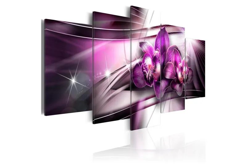 Tavla Amaranthine Tandem 100x50 - Artgeist sp. z o. o. — Artgeist sp. z o. o.