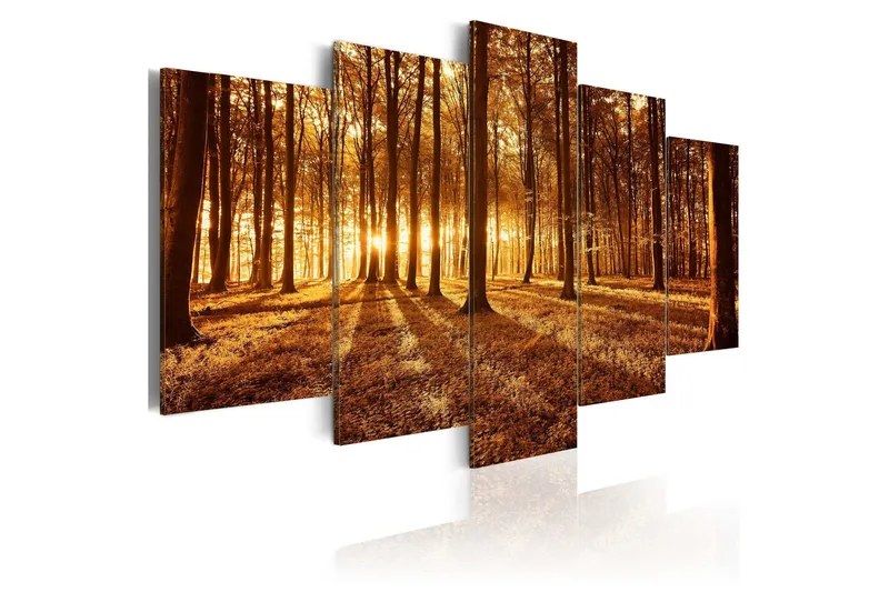 Tavla Amber Forest 100x50 - Artgeist sp. z o. o. — Artgeist sp. z o. o.