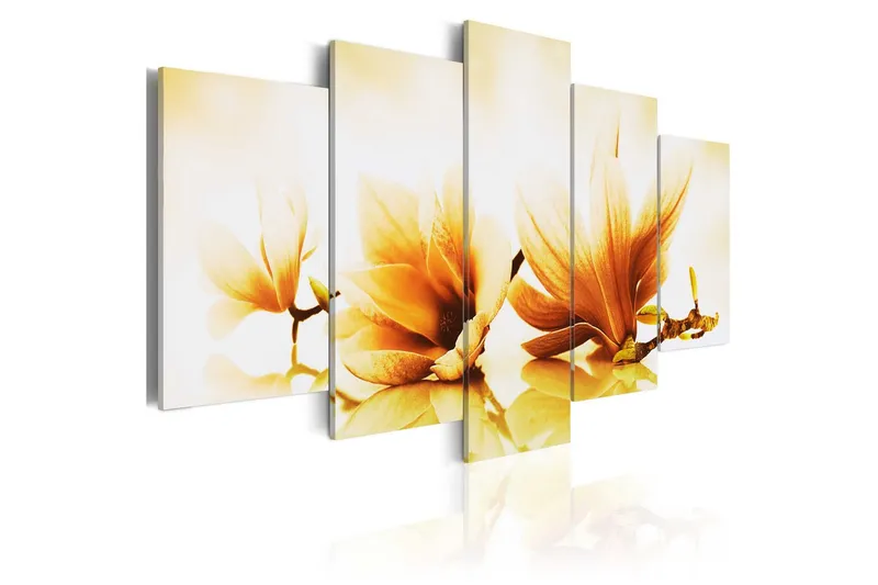 Tavla Amber Magnolias 100x50 - Artgeist sp. z o. o. — Artgeist sp. z o. o.