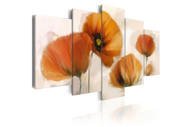 Tavla Artistic Poppies 5 Pieces 100x50 - Artgeist sp. z o. o. — Artgeist sp. z o. o.