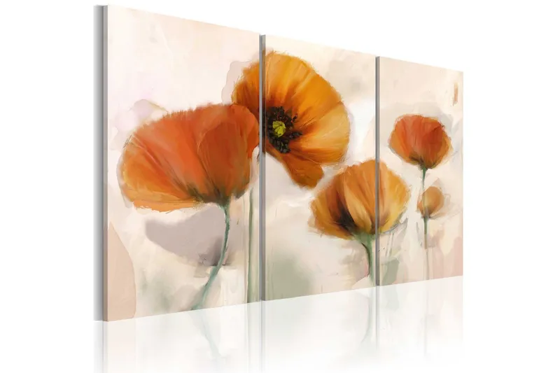 Tavla Artistic Poppies Triptych 120x80 - Artgeist sp. z o. o. — Artgeist sp. z o. o.