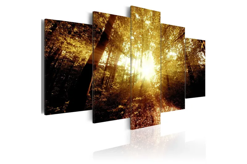 Tavla Autumn Forest 100x50 - Artgeist sp. z o. o. — Artgeist sp. z o. o.