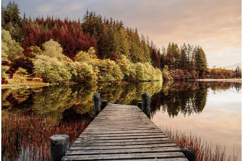Tavla Autumn Path - 80x120 cm — 80x120 cm