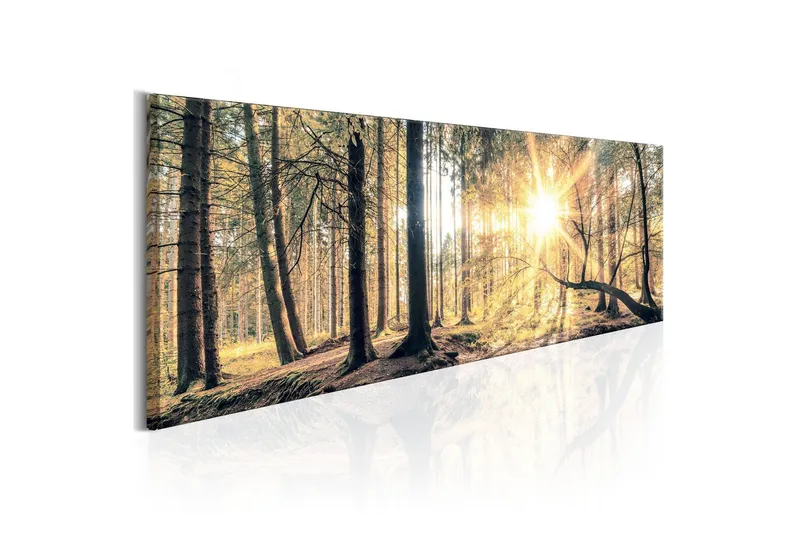 Tavla Autumn Retreat 120x40