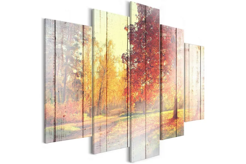 Tavla Autumn Sun 5 Parts Wide 100x50 - Artgeist sp. z o. o. — Artgeist sp. z o. o.