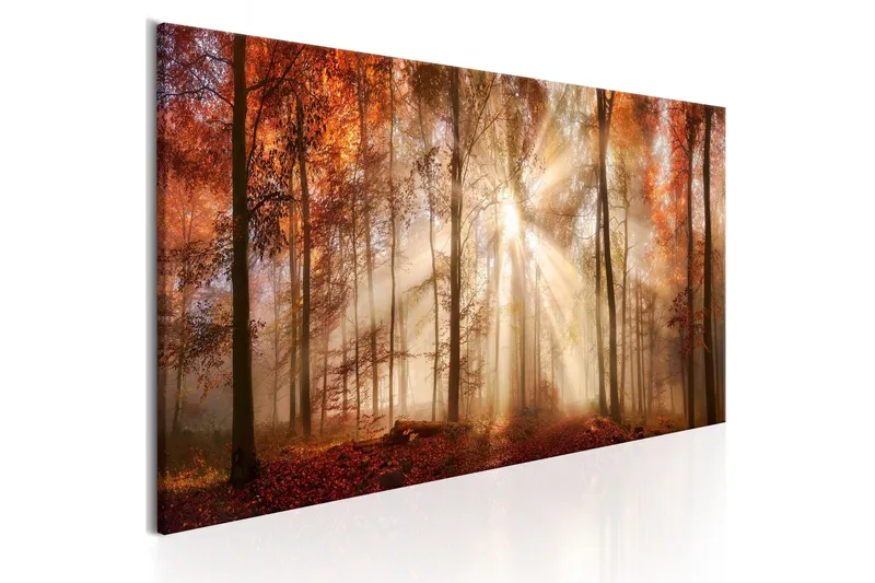 Tavla - Autumnal Dawn 135x45 - Artgeist sp. z o. o. — Artgeist sp. z o. o.
