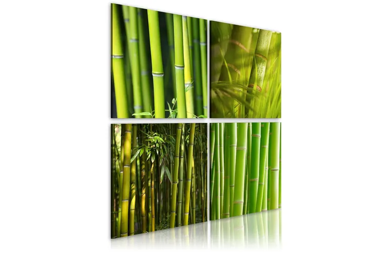Tavla Bambu 40x40 - Artgeist sp. z o. o. — Artgeist sp. z o. o.