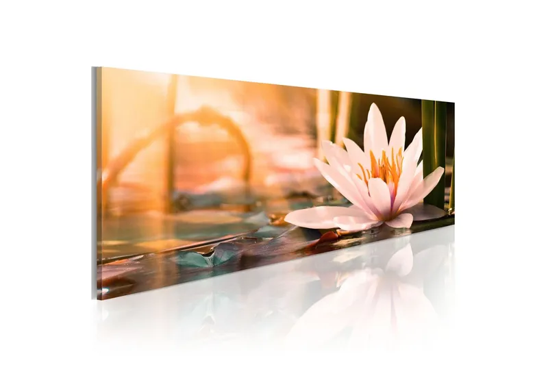 Tavla Beautiful Lotus 150x50 - Artgeist sp. z o. o. — Artgeist sp. z o. o.