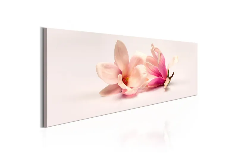 Tavla Beautiful Magnolias 120x40 - Artgeist sp. z o. o. — Artgeist sp. z o. o.
