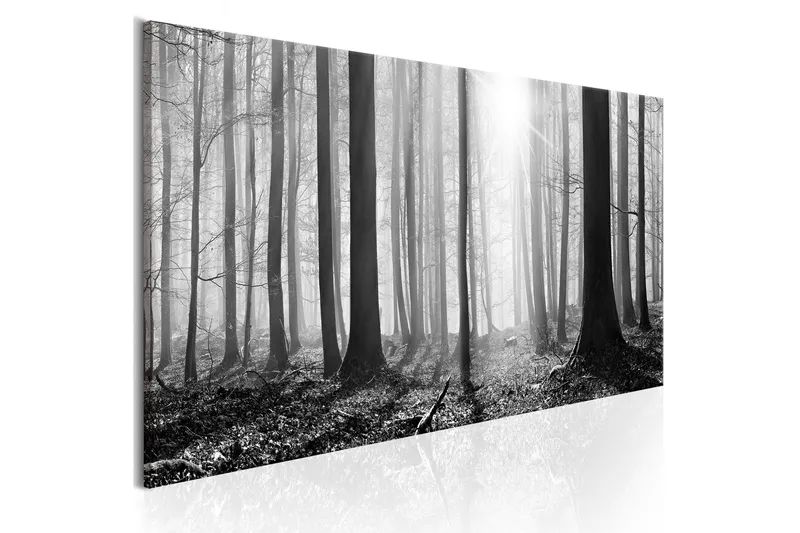 Tavla Black and White Forest 120x40 - Artgeist sp. z o. o. — Artgeist sp. z o. o.
