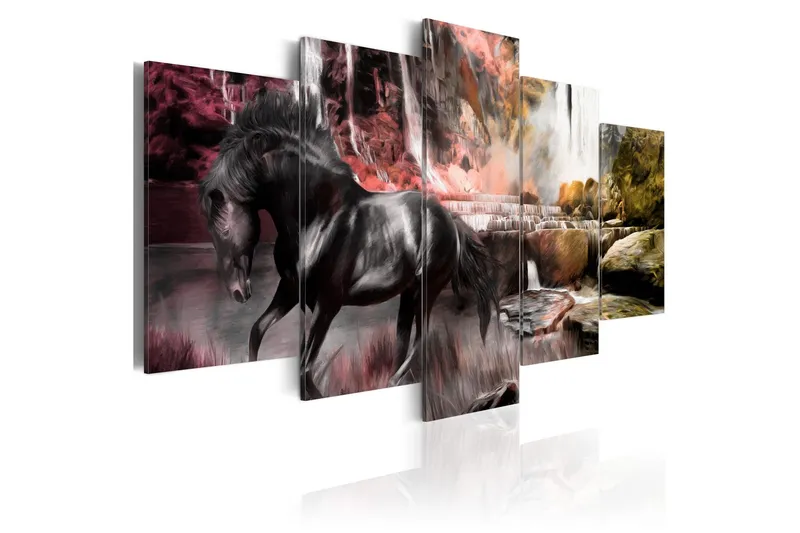 Tavla Black Horse On Crimson Sky Background 200x100 - Artgeist sp. z o. o. — Artgeist sp. z o. o.