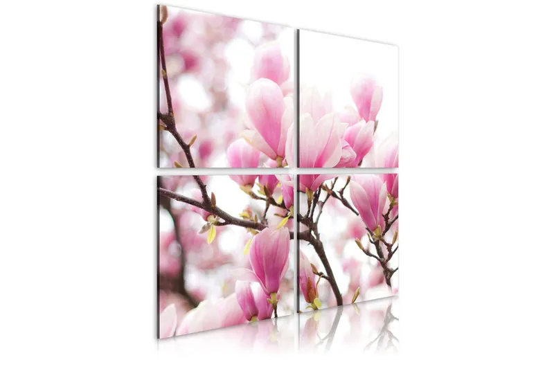 Tavla Blommande Magnolia Träd 80x80 - Artgeist sp. z o. o. — Artgeist sp. z o. o.
