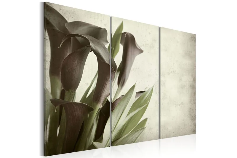 Tavla Callas Vintage 60x40 - Artgeist sp. z o. o. (Art.nr 323289) — Artgeist sp. z o. o.