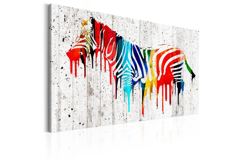 Tavla Colourful Zebra 120x80 - Artgeist sp. z o. o. — Artgeist sp. z o. o.