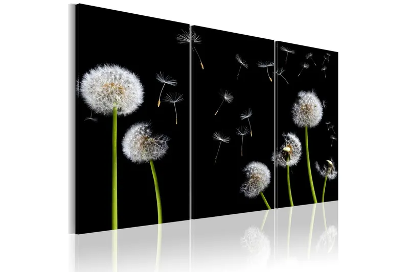 Tavla Dandelions Family 60x40 - Artgeist sp. z o. o. — Artgeist sp. z o. o.