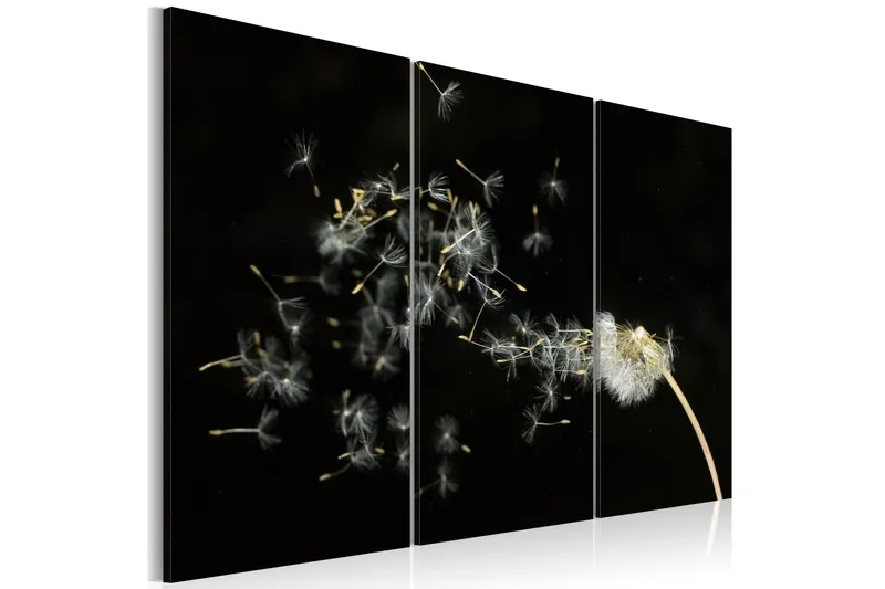 Tavla Dandelions- The Transience 60x40 - Artgeist sp. z o. o. — Artgeist sp. z o. o.
