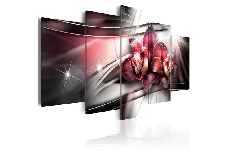 Tavla Dark Beauty 100x50 - Artgeist sp. z o. o. — Artgeist sp. z o. o.