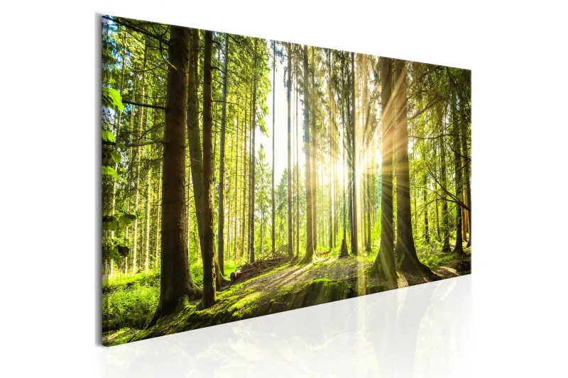 Tavla Daylight 150x50 - Artgeist sp. z o. o. — Artgeist sp. z o. o.