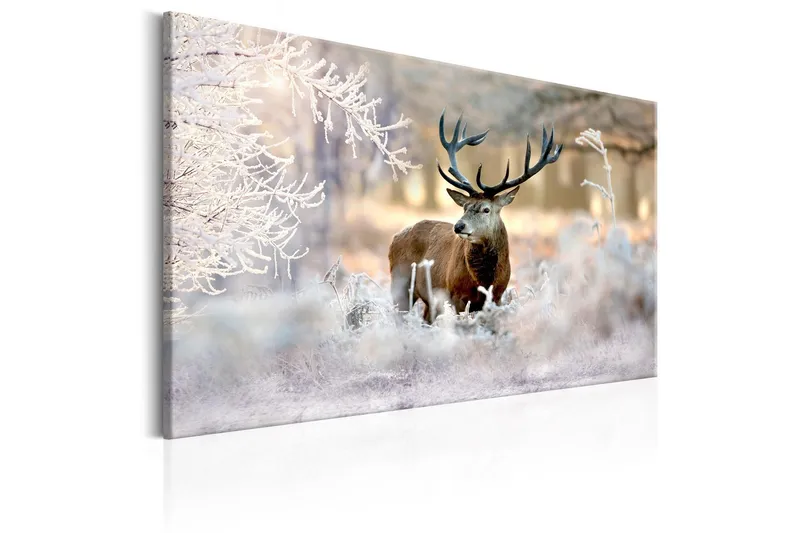 Tavla Deer In The Cold 90x60 - Artgeist sp. z o. o. (Art.nr 320597) — Artgeist sp. z o. o.