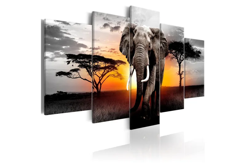 Tavla Elephant At Sunset 100x50 - Artgeist sp. z o. o. — Artgeist sp. z o. o.