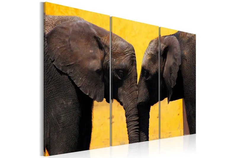 Tavla Elephant Kiss 120x80 - Artgeist sp. z o. o. — Artgeist sp. z o. o.