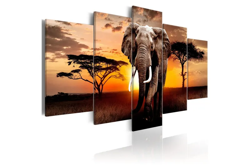 Tavla Elephant Migration 200x100 - Artgeist sp. z o. o. — Artgeist sp. z o. o.