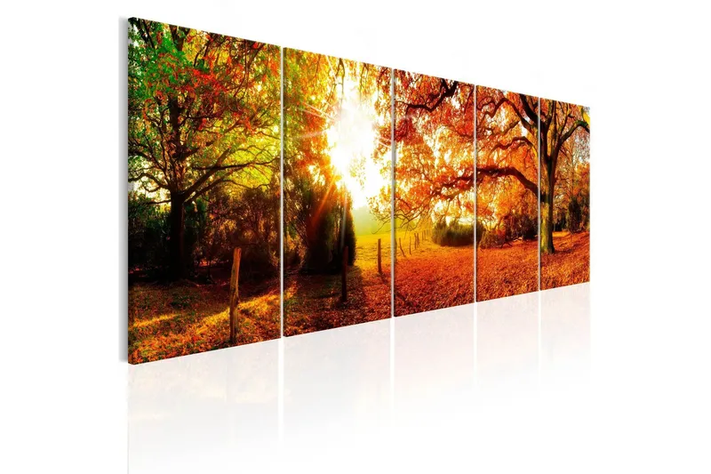 Tavla Enchanting Autumn 200x80 - Artgeist sp. z o. o. — Artgeist sp. z o. o.