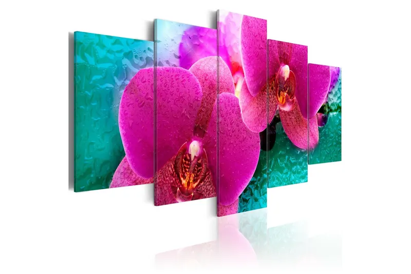 Tavla Exotic Orchids 200x100 - Artgeist sp. z o. o. — Artgeist sp. z o. o.