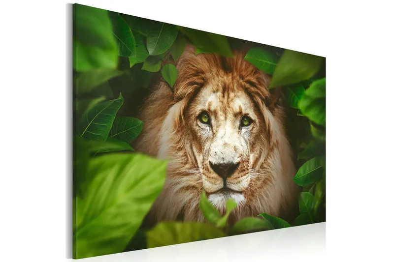 Tavla Eyes Of The Jungle 90x60 - Artgeist sp. z o. o. — Artgeist sp. z o. o.
