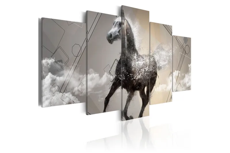 Tavla Fancy Gallop 5 Pieces 100x50 - Artgeist sp. z o. o. — Artgeist sp. z o. o.