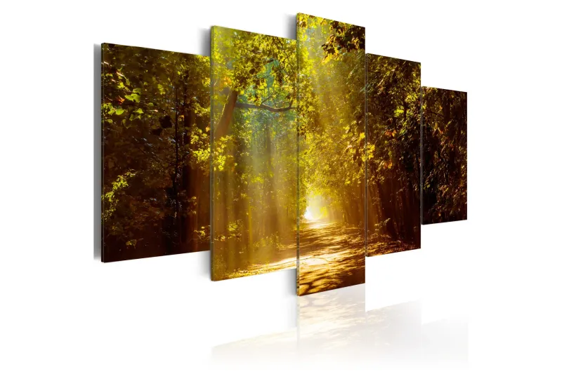Tavla Forest In The Sunlight 100x50 - Artgeist sp. z o. o. — Artgeist sp. z o. o.