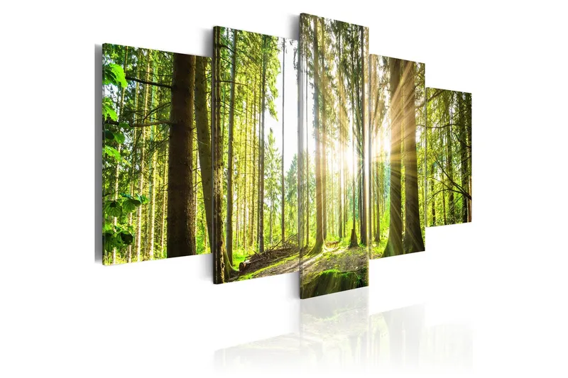 Tavla Forest Kingdom 100x50 - Artgeist sp. z o. o. — Artgeist sp. z o. o.