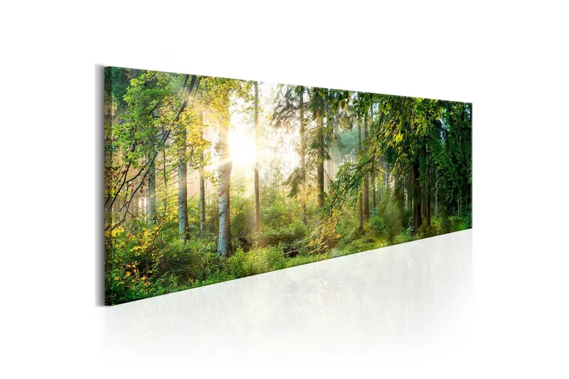 Tavla Forest Shelter 120x40 - Artgeist sp. z o. o. — Artgeist sp. z o. o.