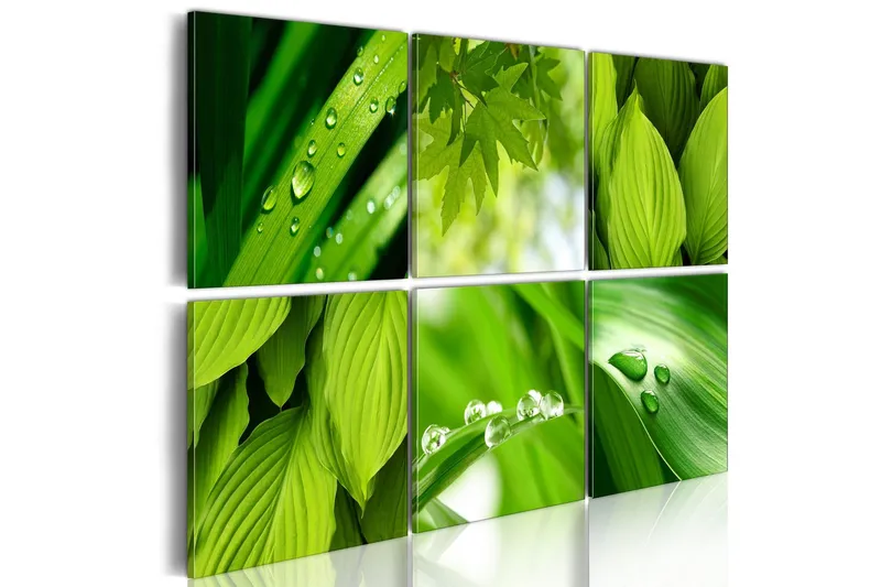 Tavla Fresh Green Leaves 120x80 - Artgeist sp. z o. o. — Artgeist sp. z o. o.