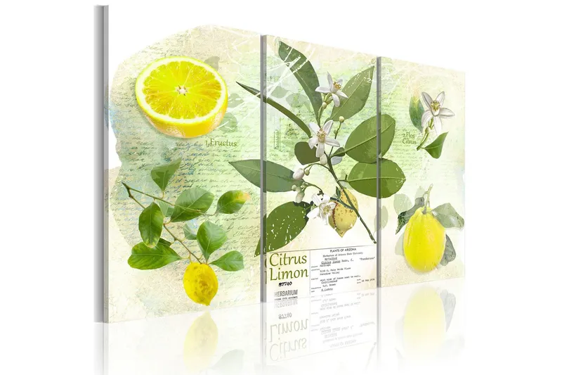 Tavla Fruit: lemon 90x60 - Artgeist sp. z o. o. — Artgeist sp. z o. o.
