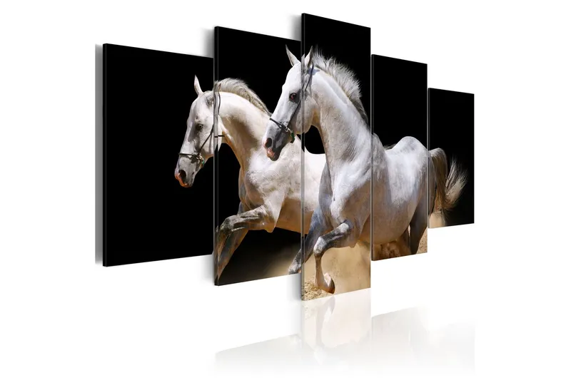 Tavla Gallop- Freedom And Power 200x100 - Artgeist sp. z o. o. — Artgeist sp. z o. o.