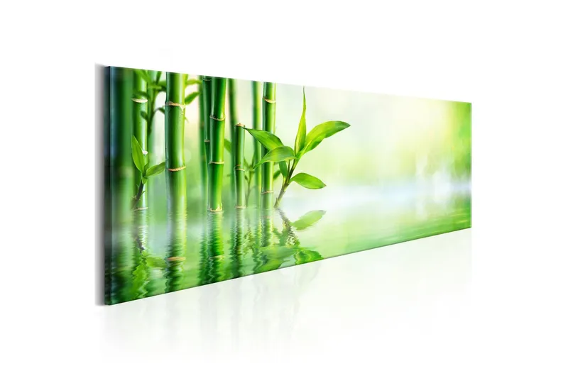 Tavla Green Bamboo 135x45 - Artgeist sp. z o. o. — Artgeist sp. z o. o.